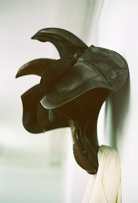 Image 13 of 25