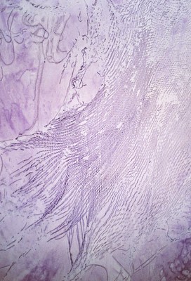 Image 24 of 25