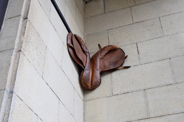 Image 16 of 25