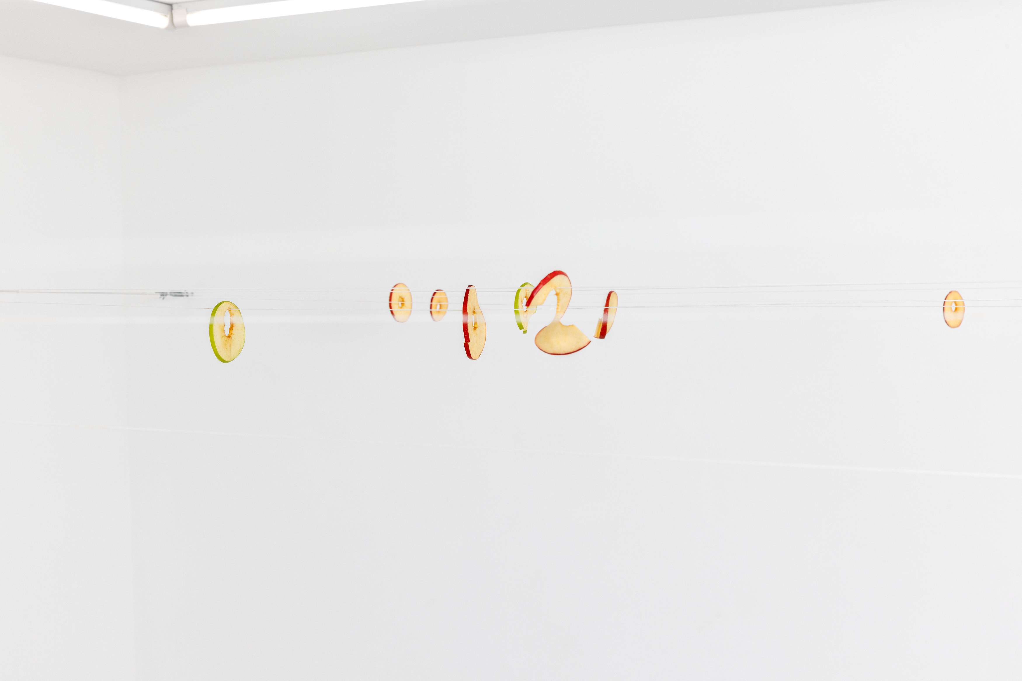 Navid Nuur, The Tentext Theroy at Parliament, photo 3
