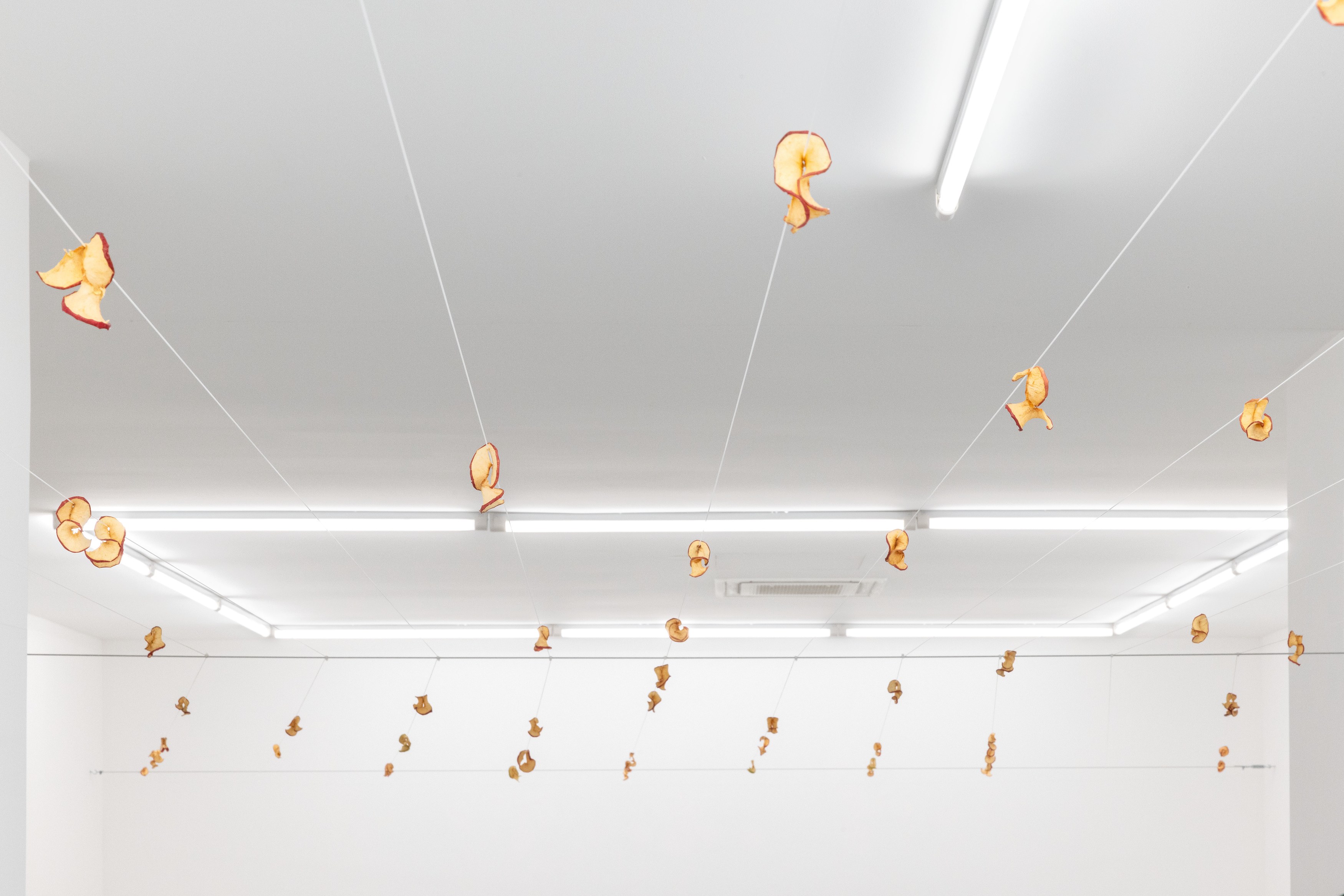 Navid Nuur, The Tentext Theroy at Parliament, photo 6