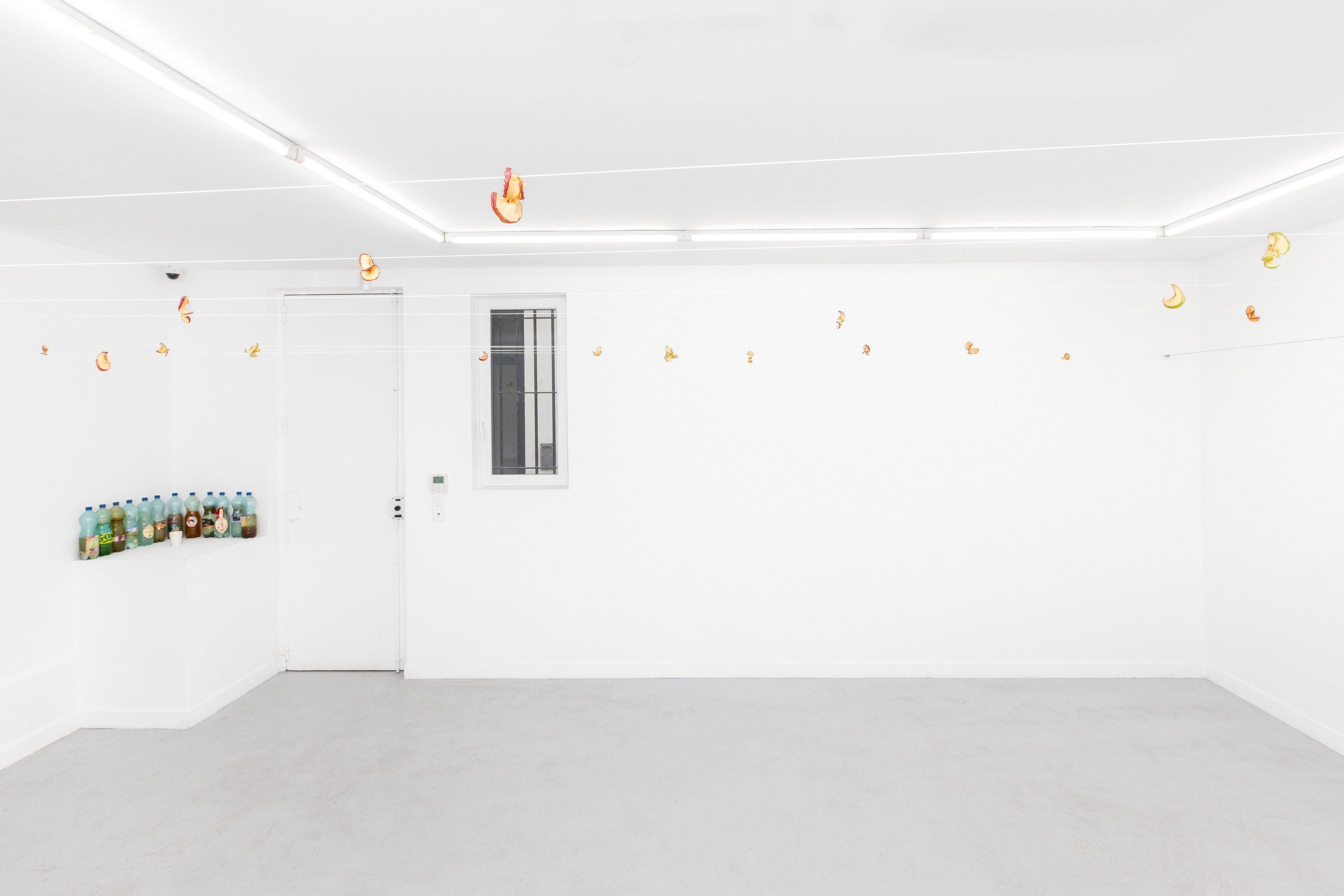 Navid Nuur, The Tentext Theroy at Parliament, photo 10