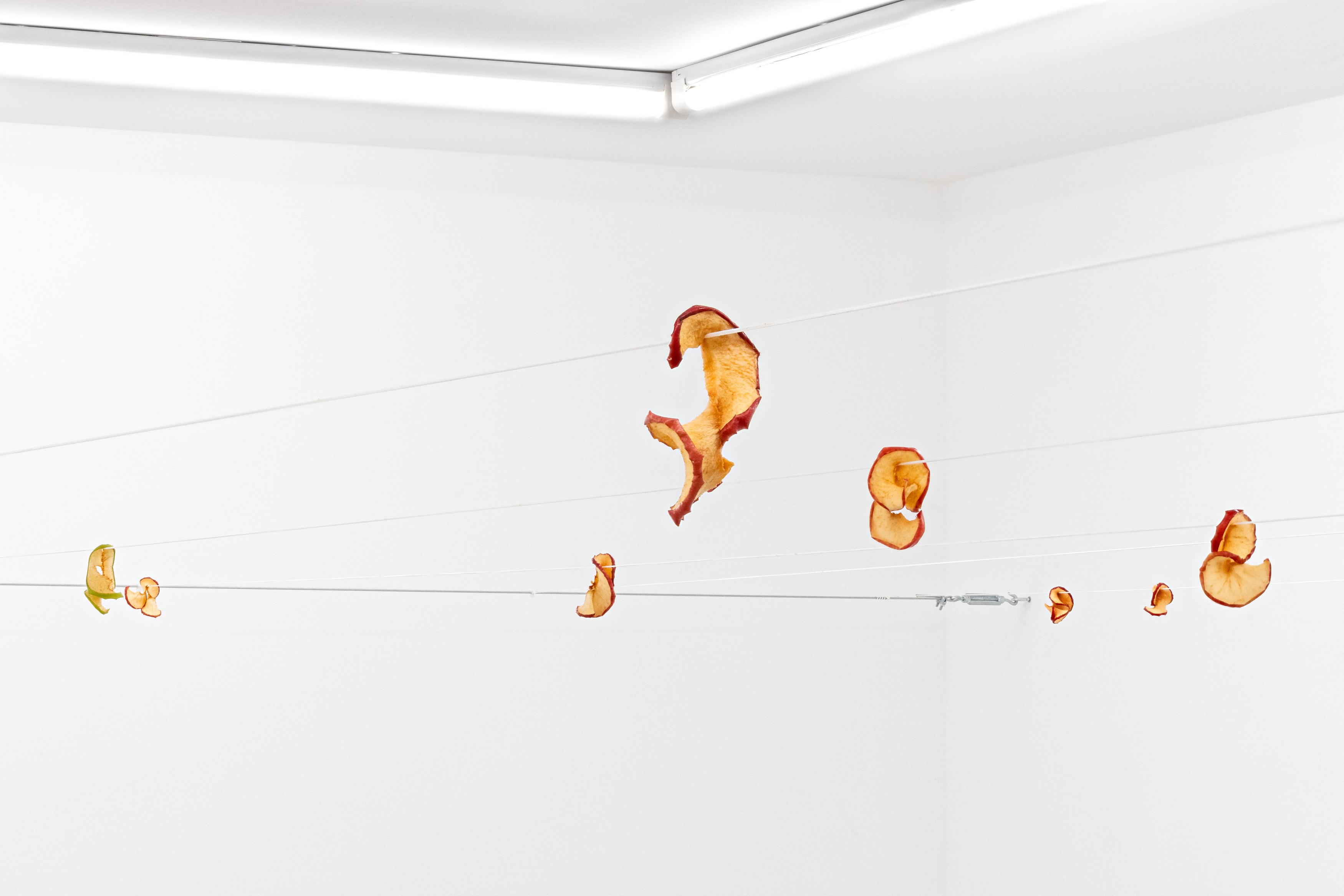 Navid Nuur, The Tentext Theroy at Parliament, photo 8