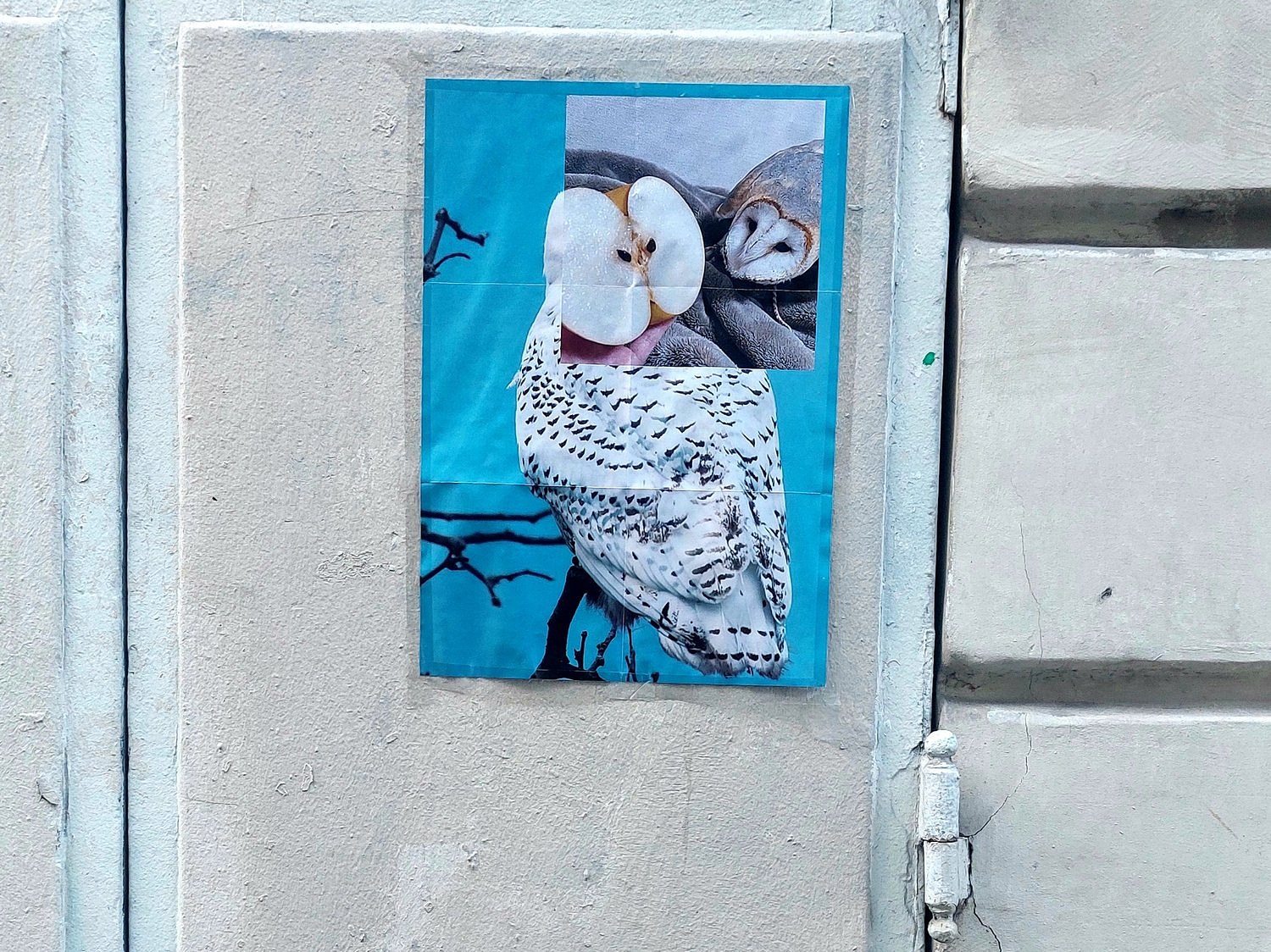 Navid Nuur, The Tentext Theroy at Parliament, photo 13