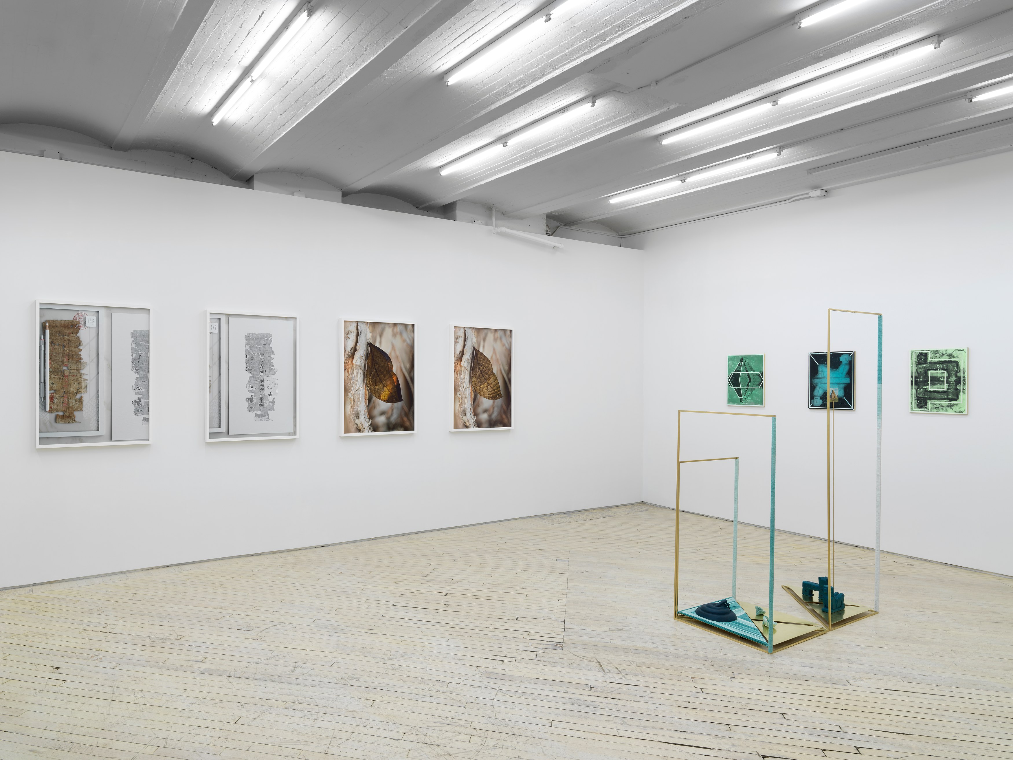 Installation view 8