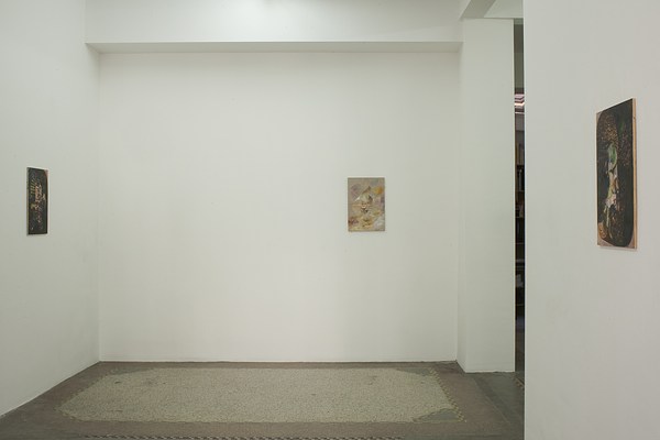 Image 5 of 19