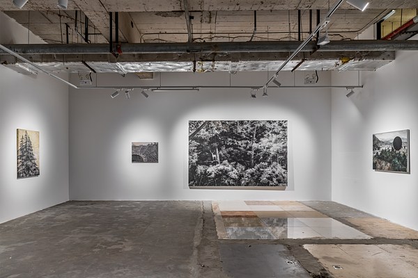 Image 9 of 22