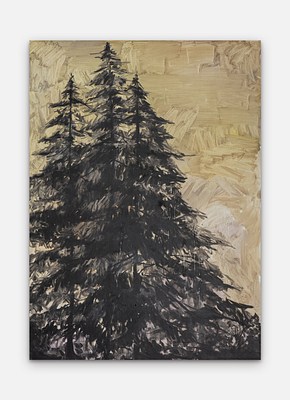 Image 20 of 22