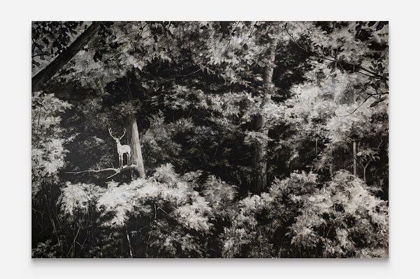 Image 22 of 22