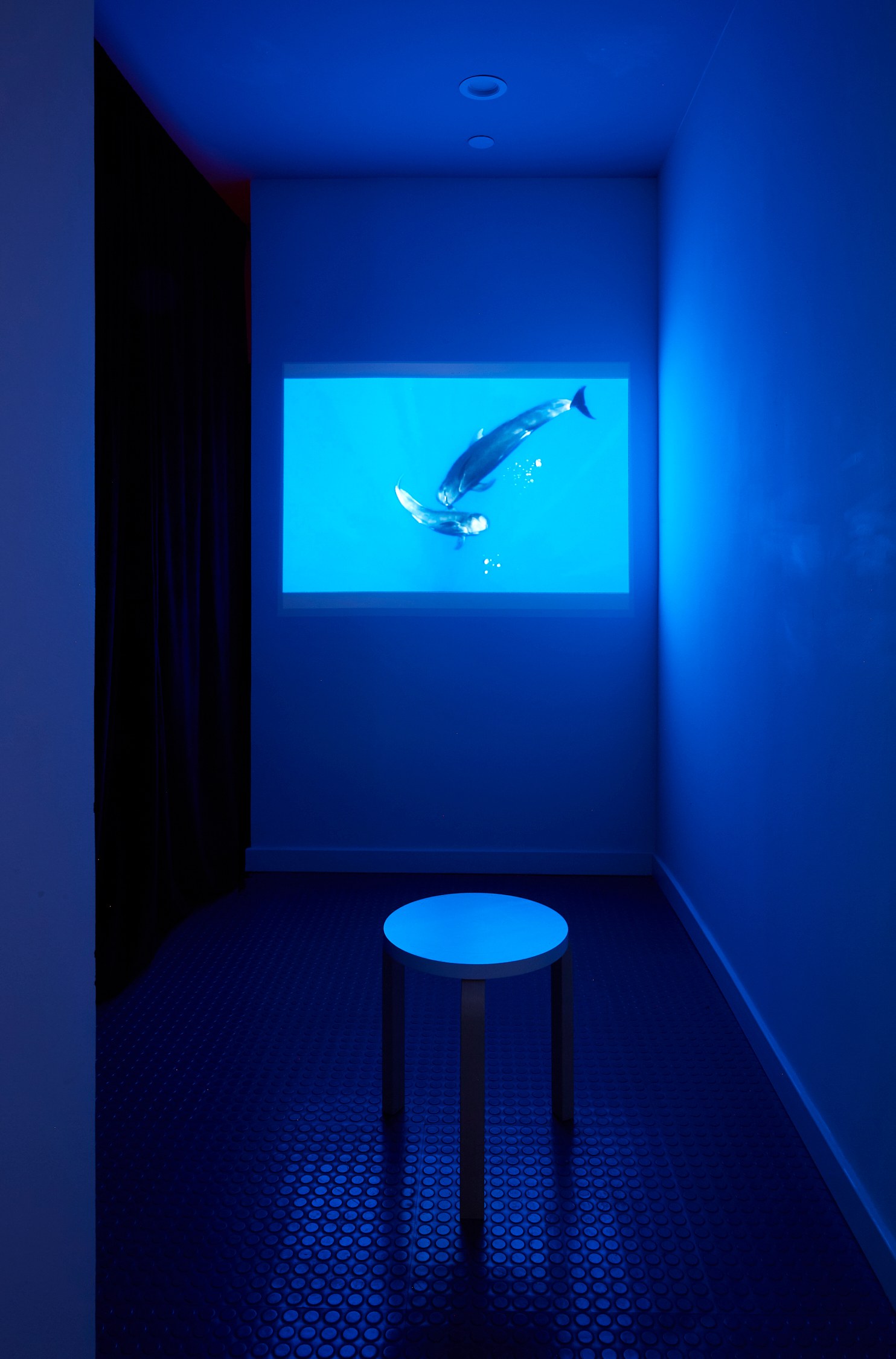 Looking Back: The 13th White Columns Annual, Looking Back: The 13th White Columns Annual at White Columns, photo 6