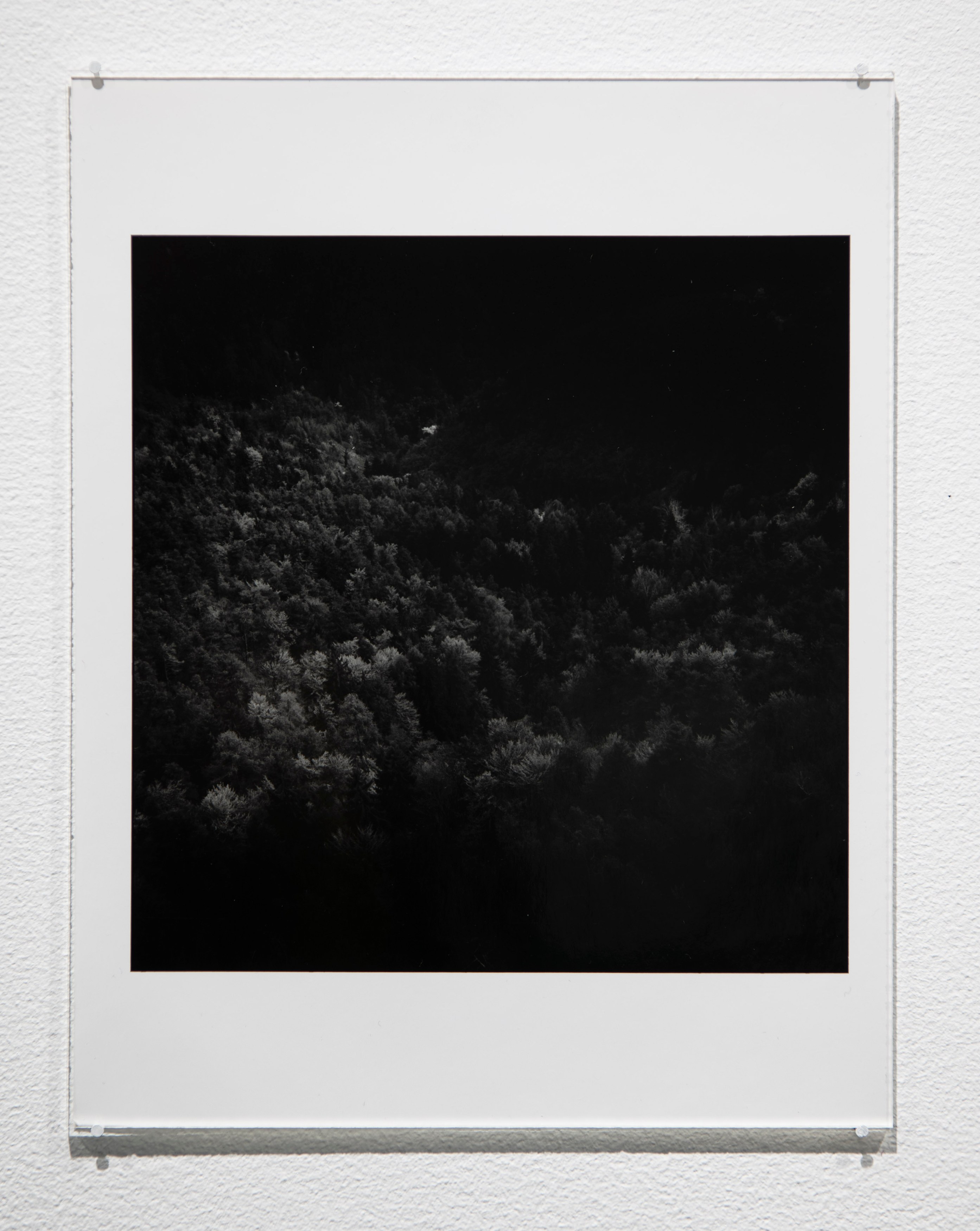 Looking Back: The 13th White Columns Annual, Looking Back: The 13th White Columns Annual at White Columns, photo 30