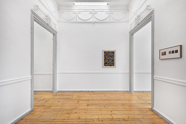 Image 14 of 38