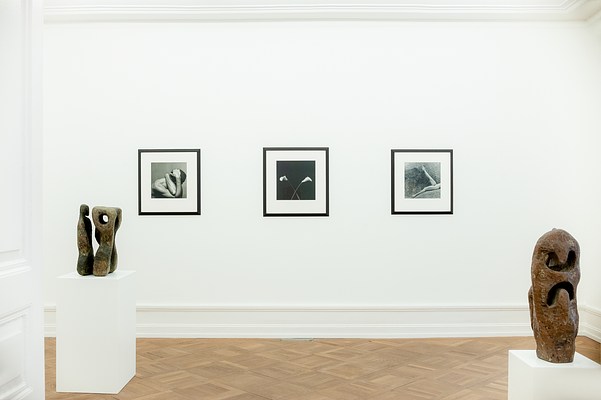 Image 2 of 76
