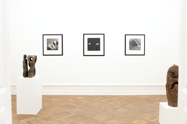 Image 12 of 76