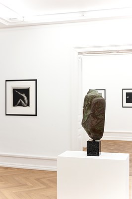Image 14 of 76