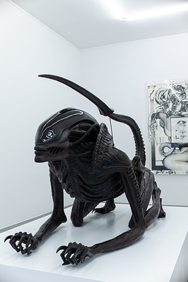Image 21 of 24