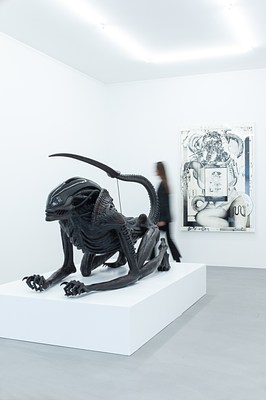 Image 7 of 24