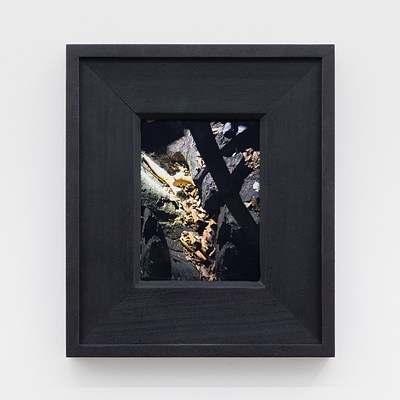 Image 19 of 31