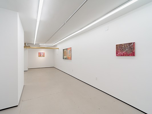 Image 19 of 19