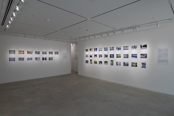 Image 2 of 16