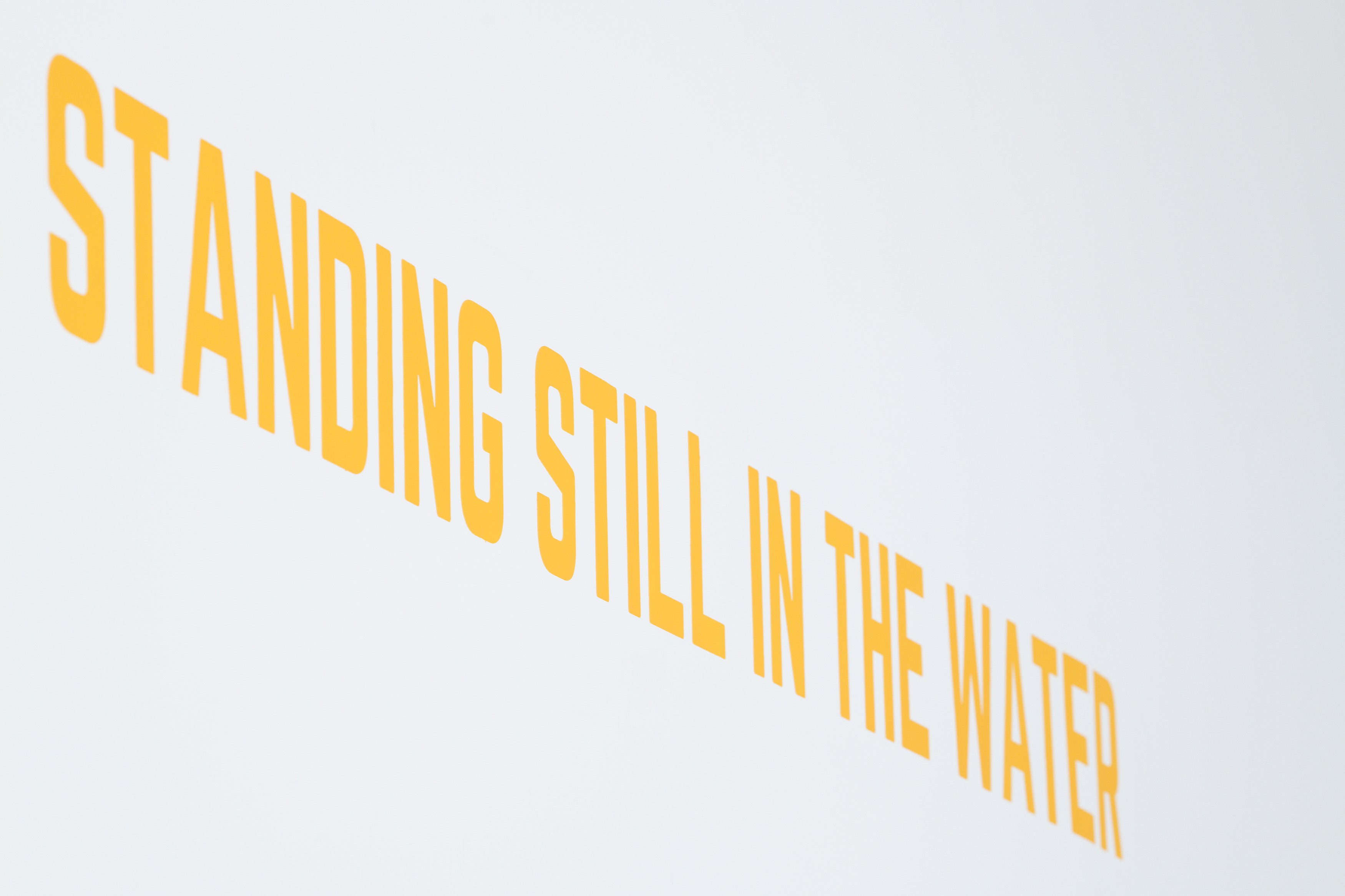 Lawrence Weiner, In dialog with Lawrence Weiner at La Cuisine, photo 6