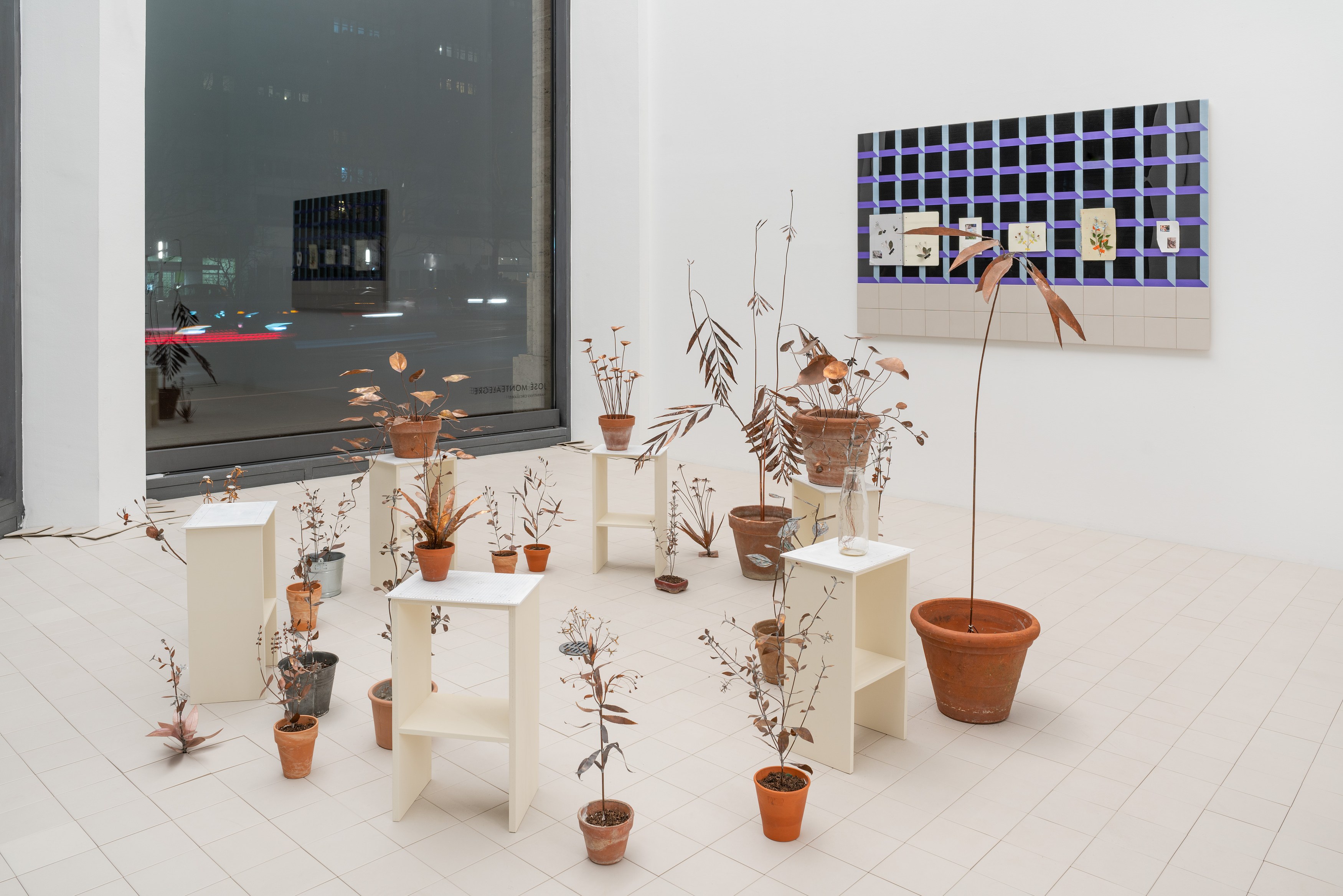 José Montealegre, Narrativas Circulares at Galerie Thomas Schulte, photo 5