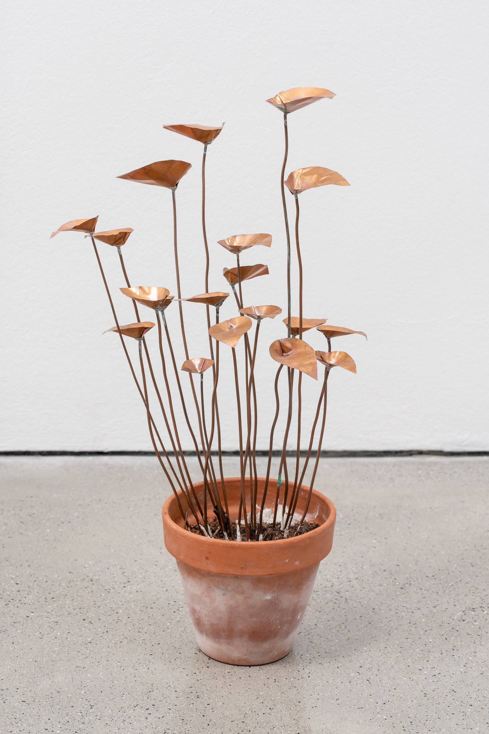 José Montealegre, Narrativas Circulares at Galerie Thomas Schulte, photo 15