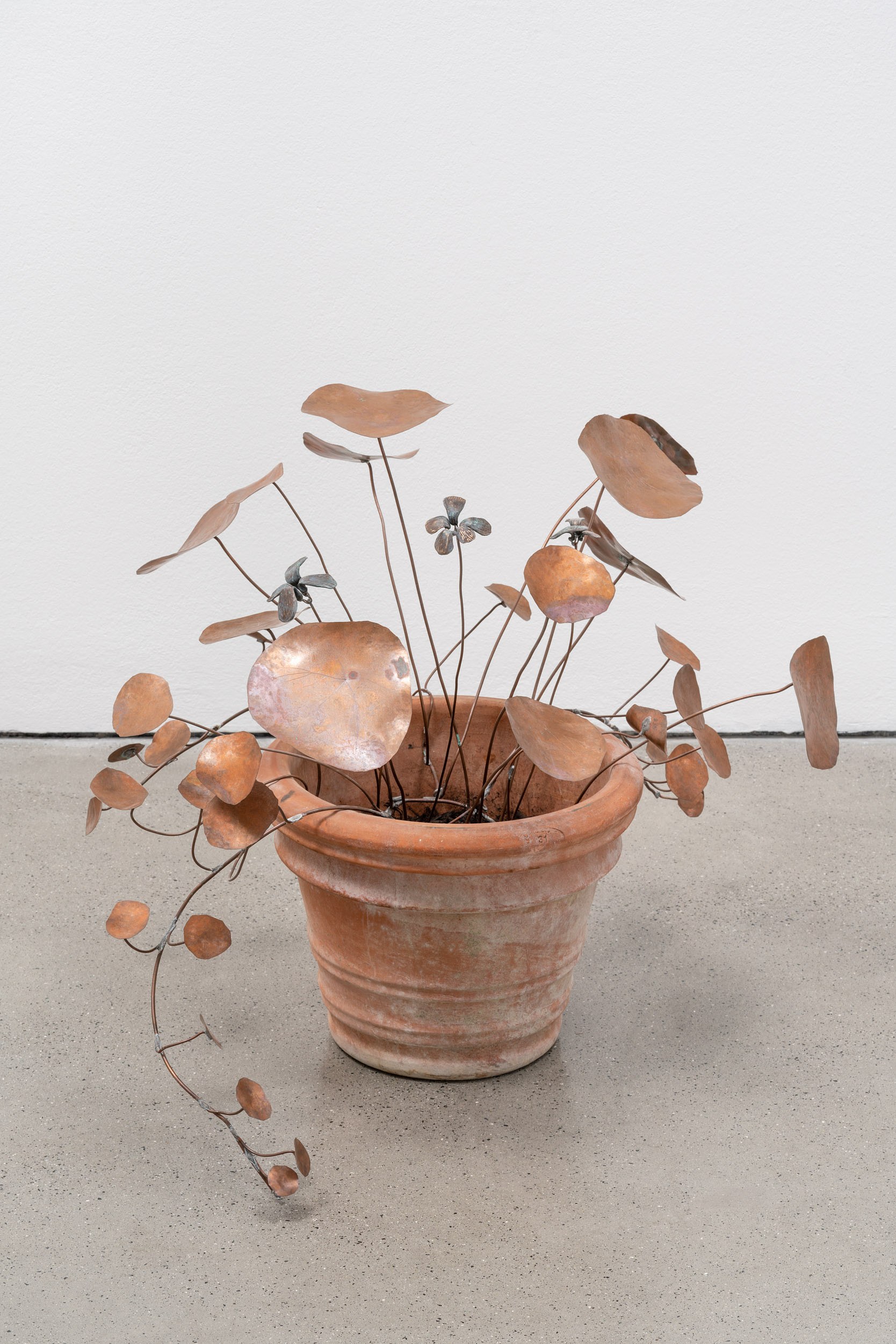 José Montealegre, Narrativas Circulares at Galerie Thomas Schulte, photo 16
