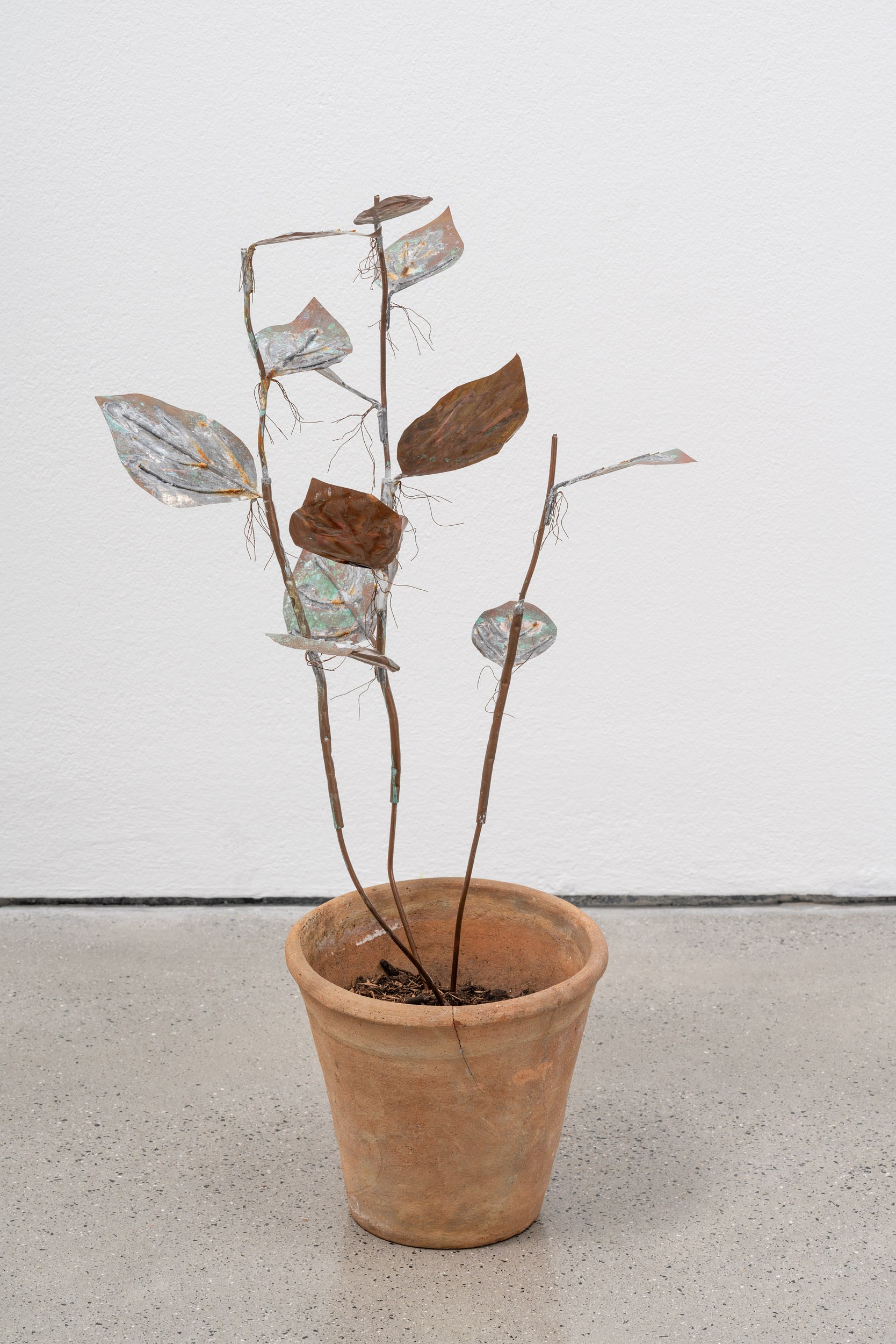 José Montealegre, Narrativas Circulares at Galerie Thomas Schulte, photo 17
