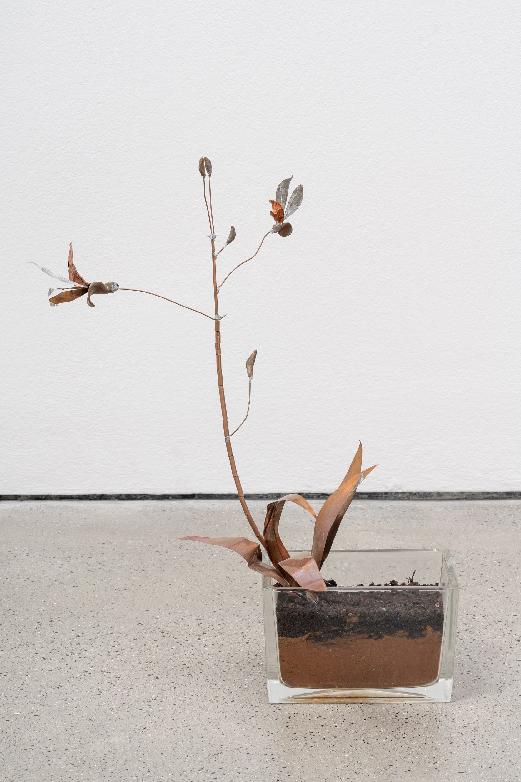 José Montealegre, Narrativas Circulares at Galerie Thomas Schulte, photo 18