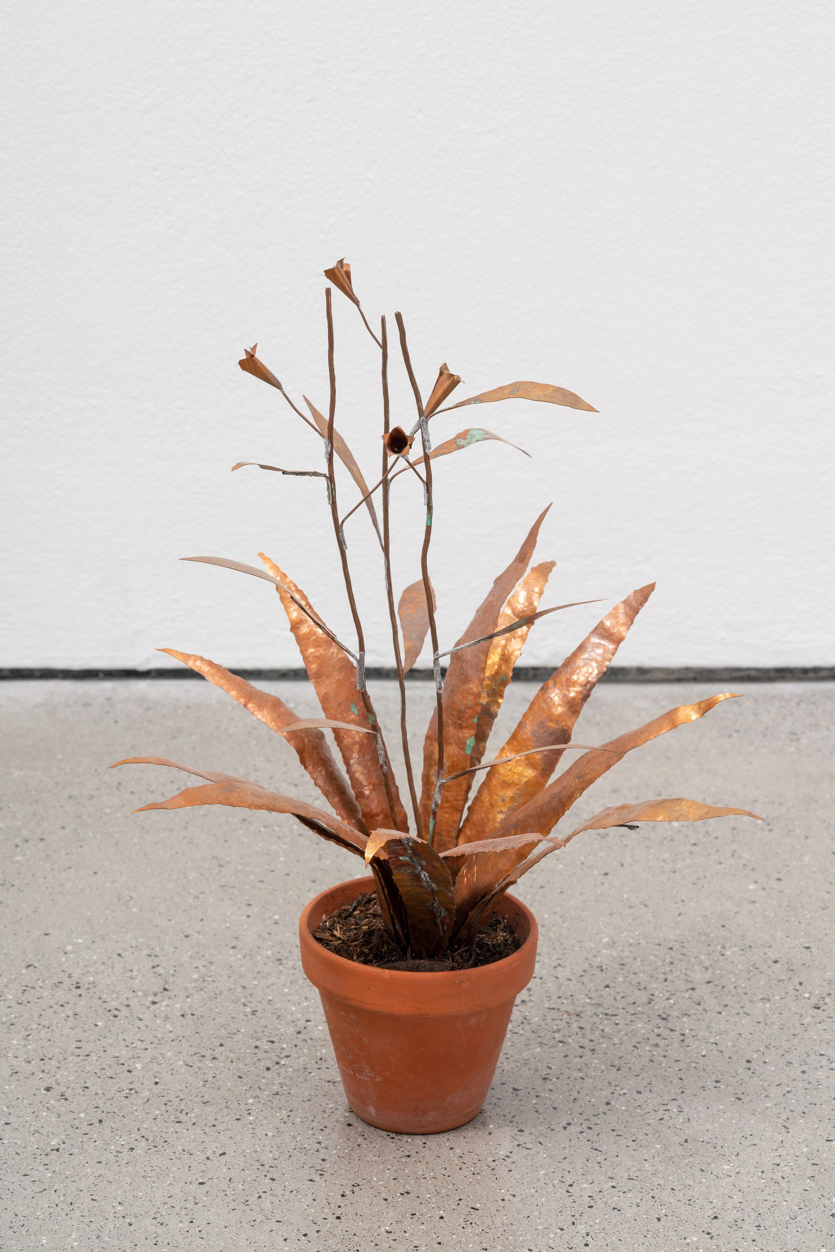 José Montealegre, Narrativas Circulares at Galerie Thomas Schulte, photo 20