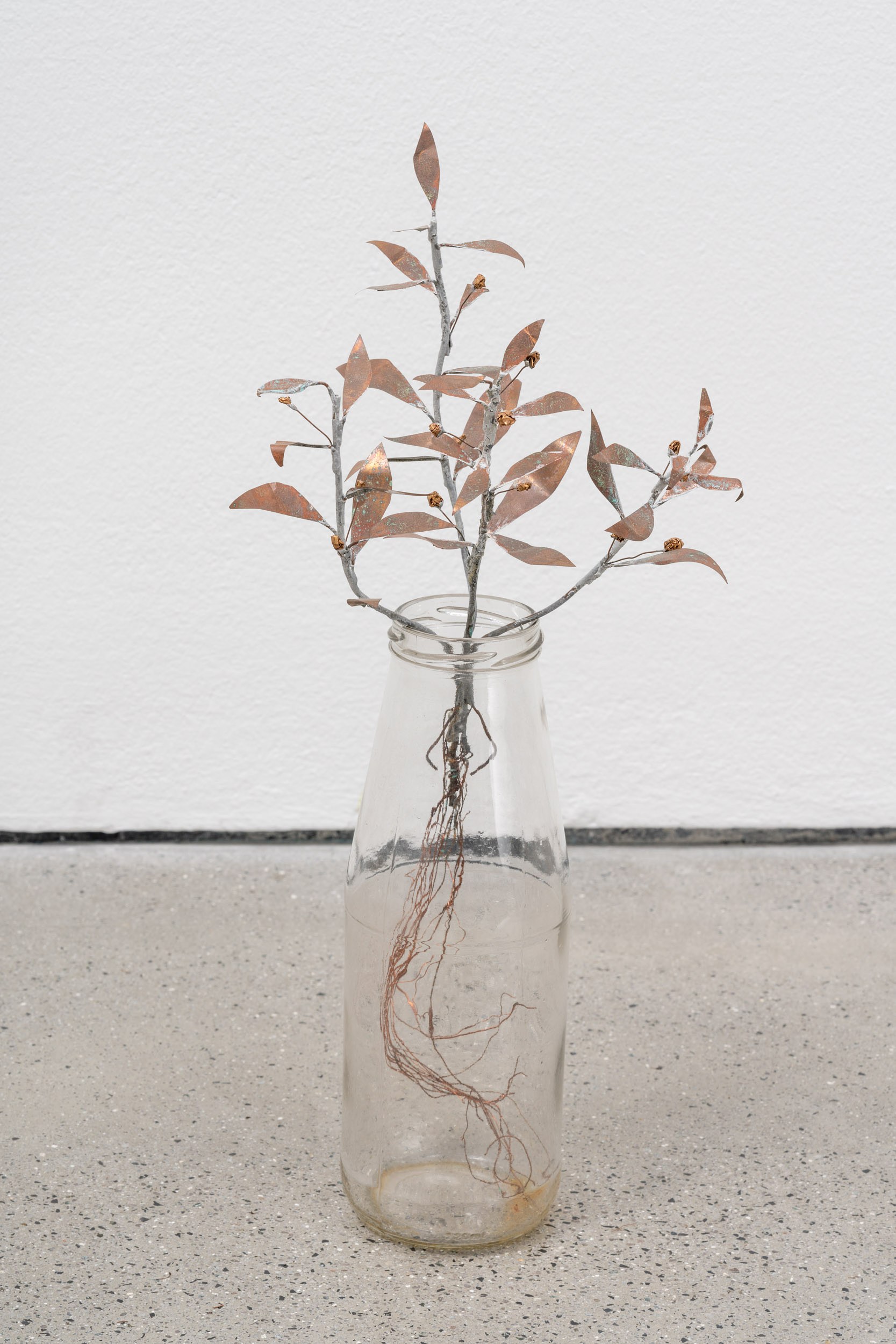 José Montealegre, Narrativas Circulares at Galerie Thomas Schulte, photo 21