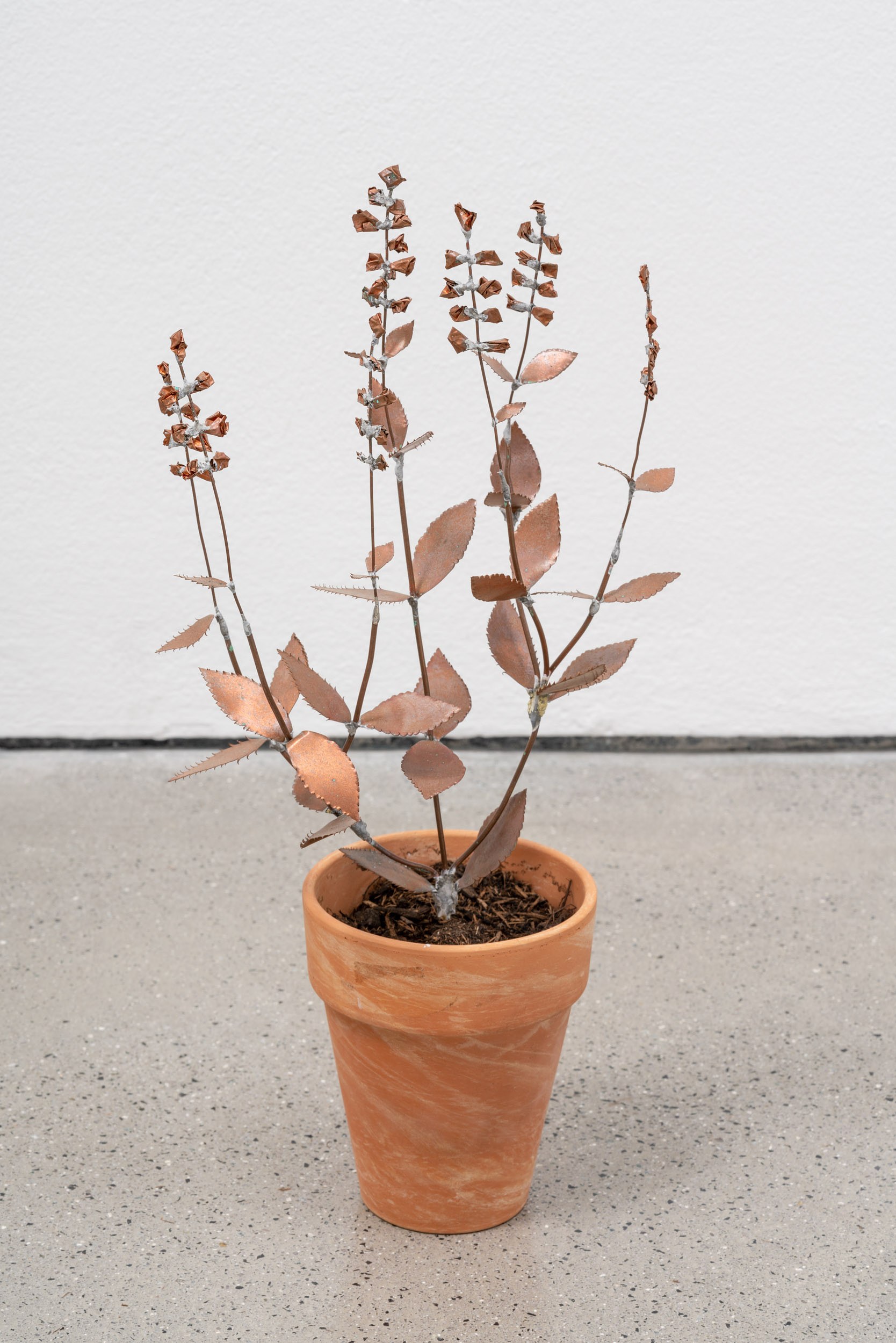 José Montealegre, Narrativas Circulares at Galerie Thomas Schulte, photo 19
