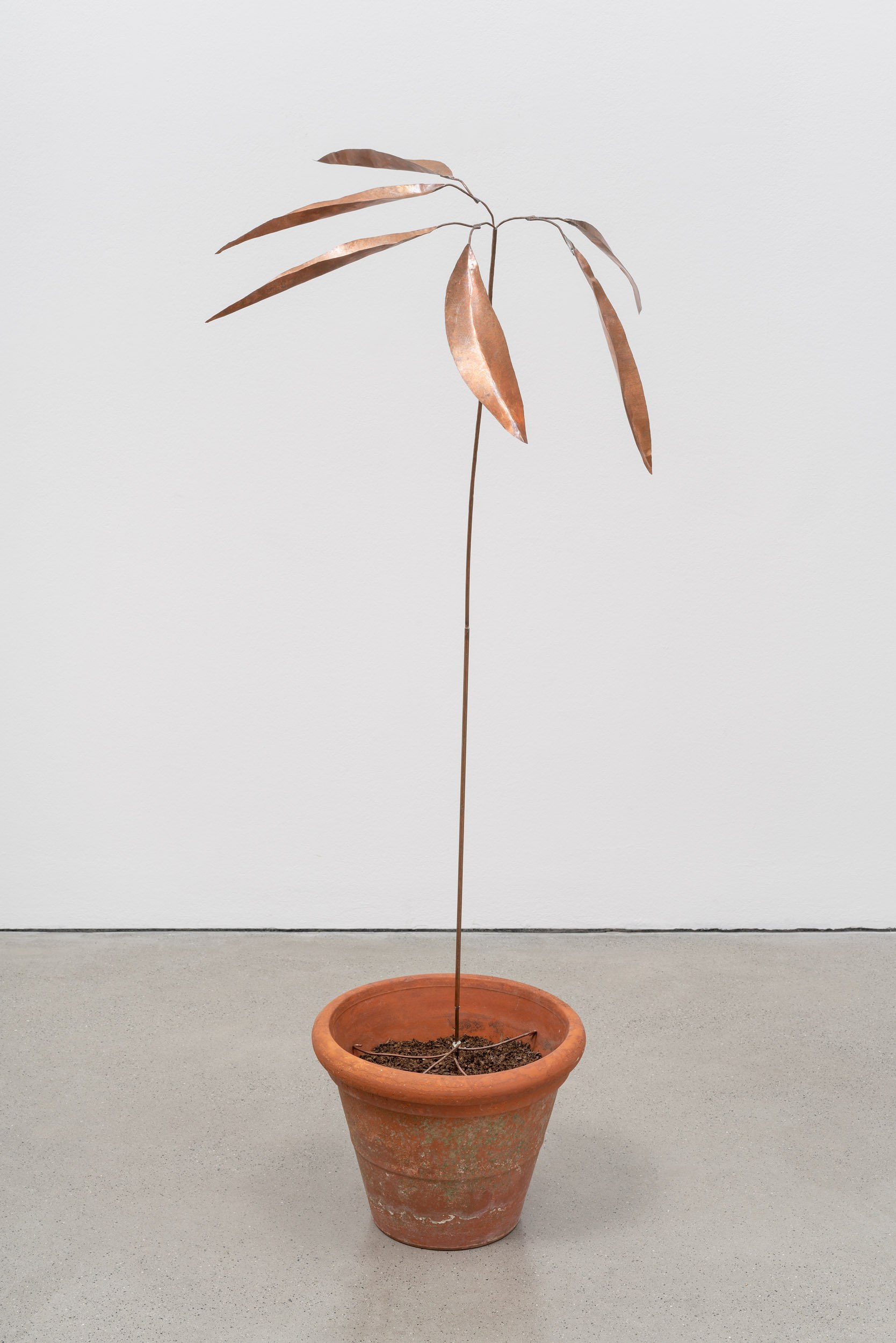 José Montealegre, Narrativas Circulares at Galerie Thomas Schulte, photo 23