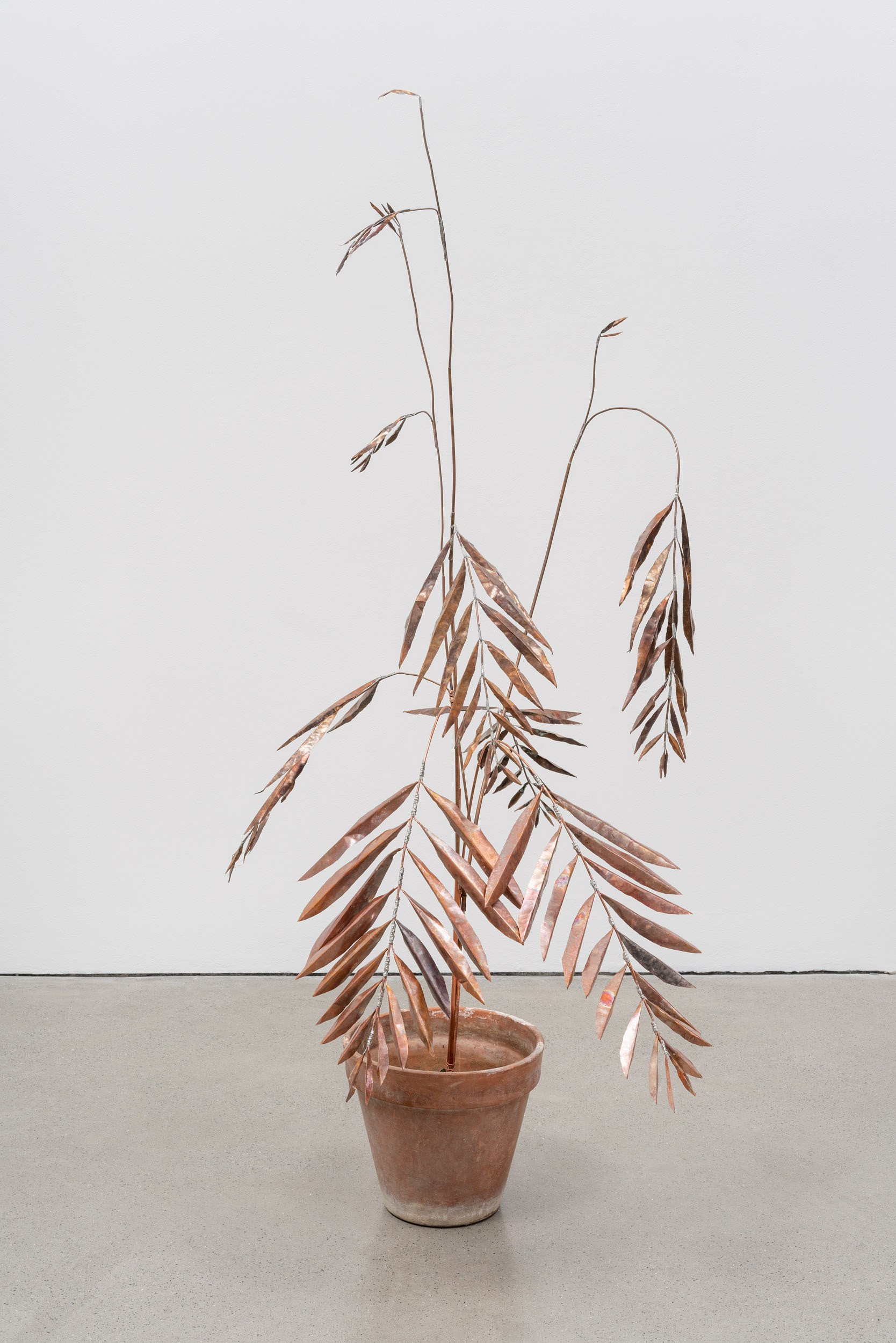 José Montealegre, Narrativas Circulares at Galerie Thomas Schulte, photo 24