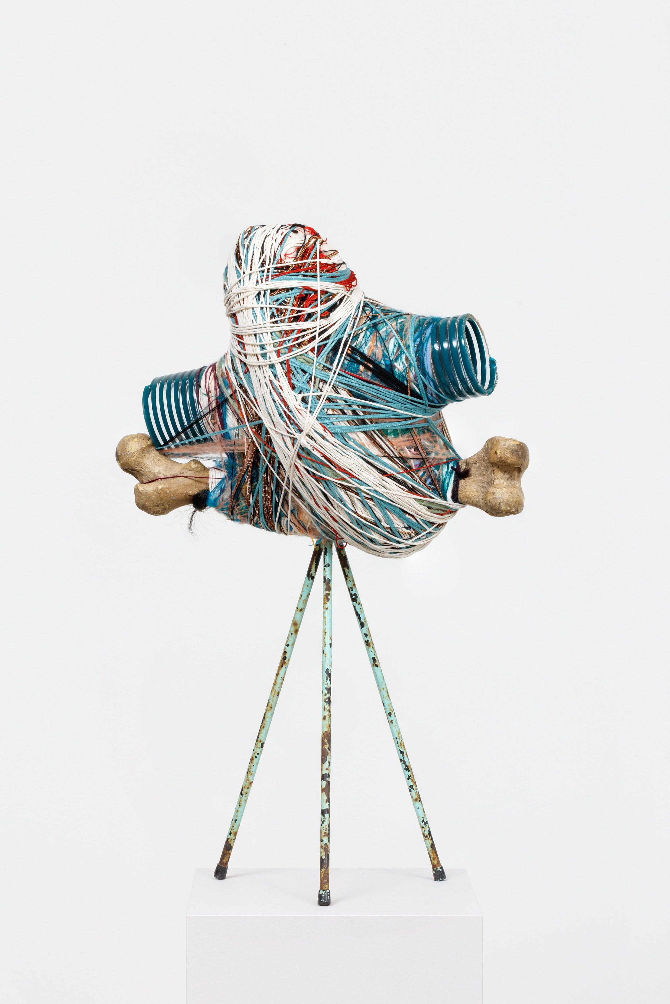 Elliott Hundley, Echo at Regen Projects, photo 31