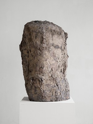 Image 14 of 21