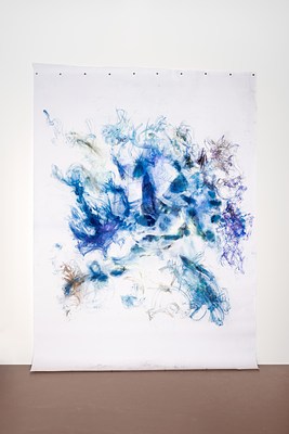 Image 12 of 21