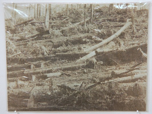Image 9 of 10