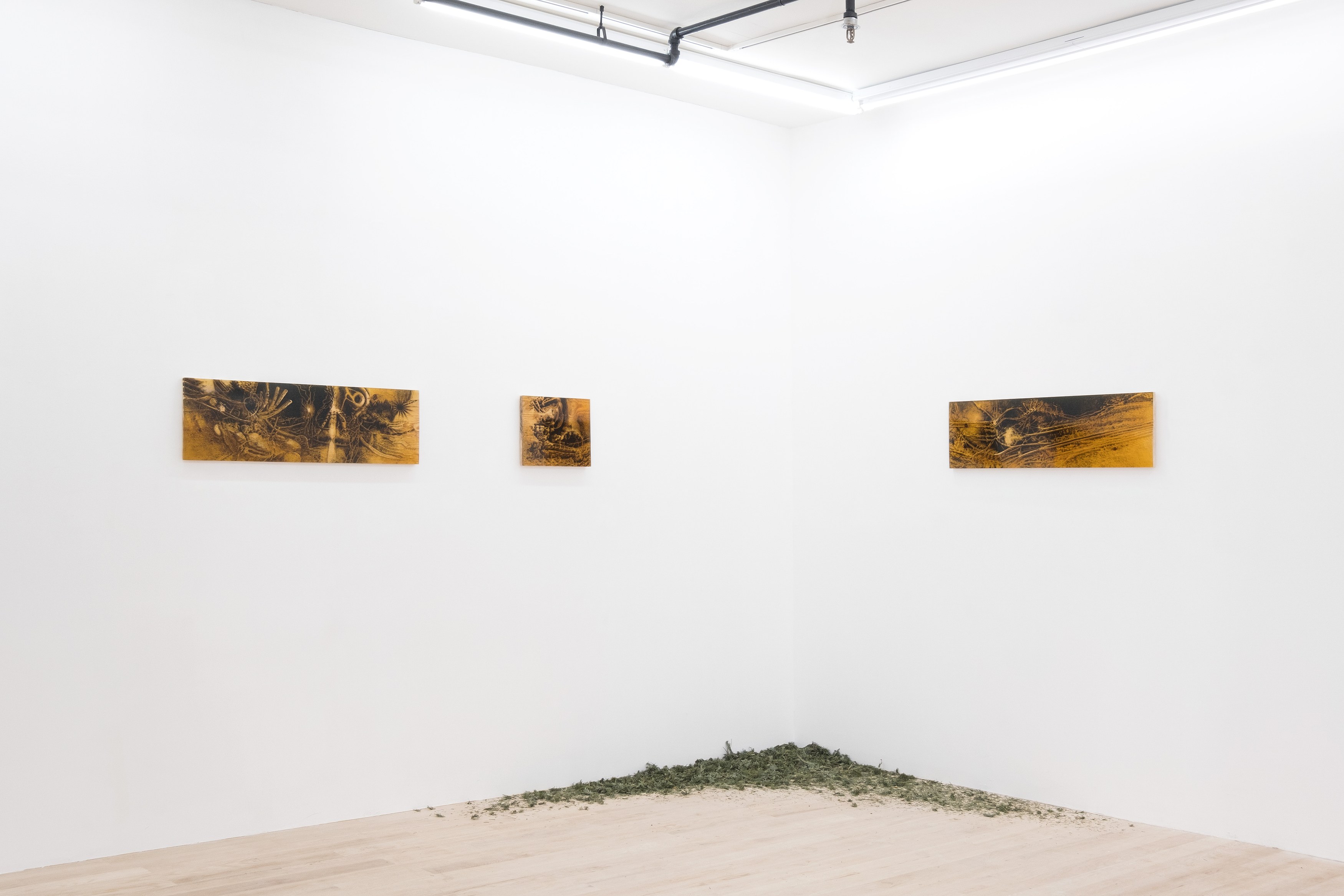 Installation view 2