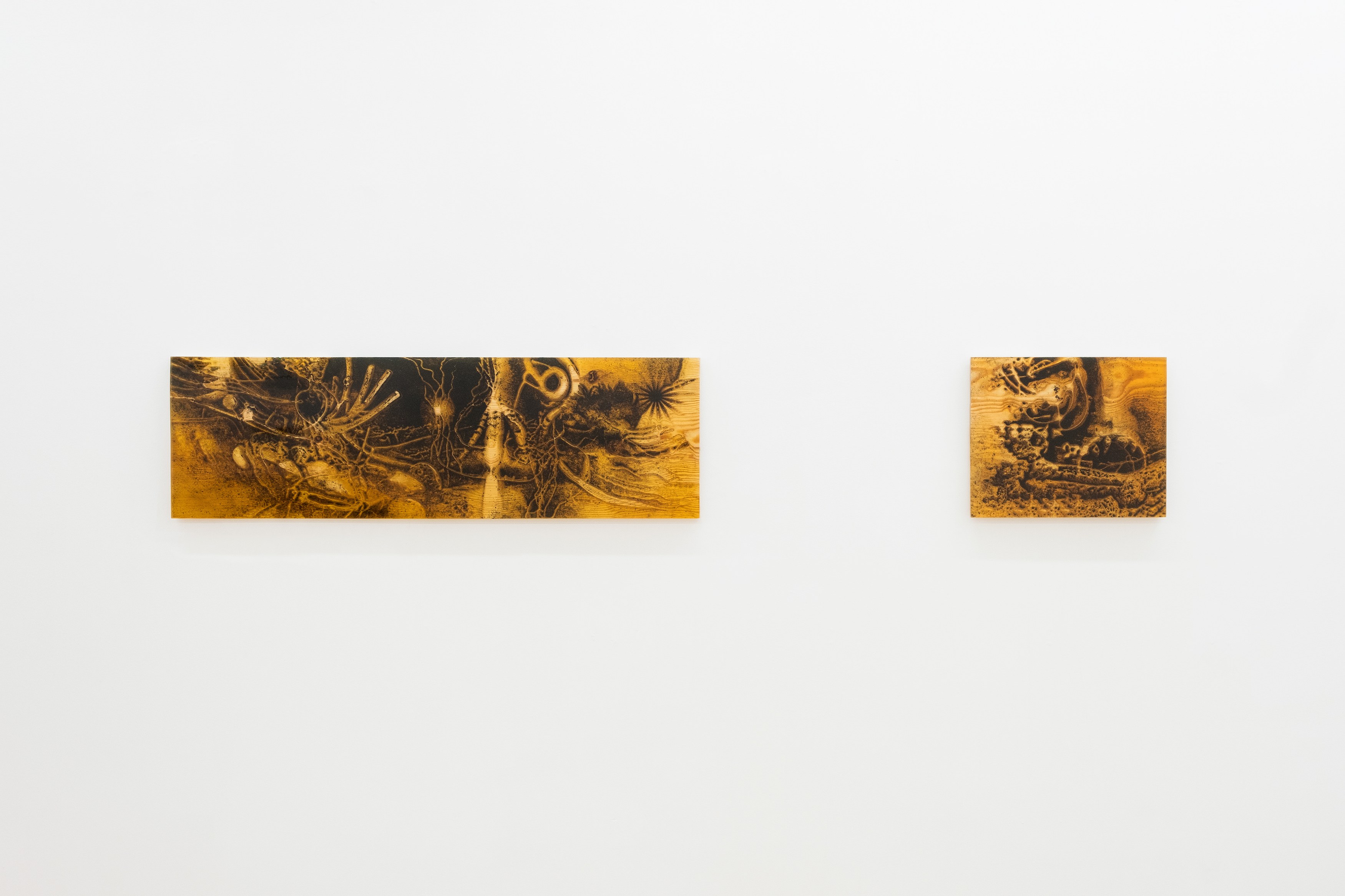 Installation view 3