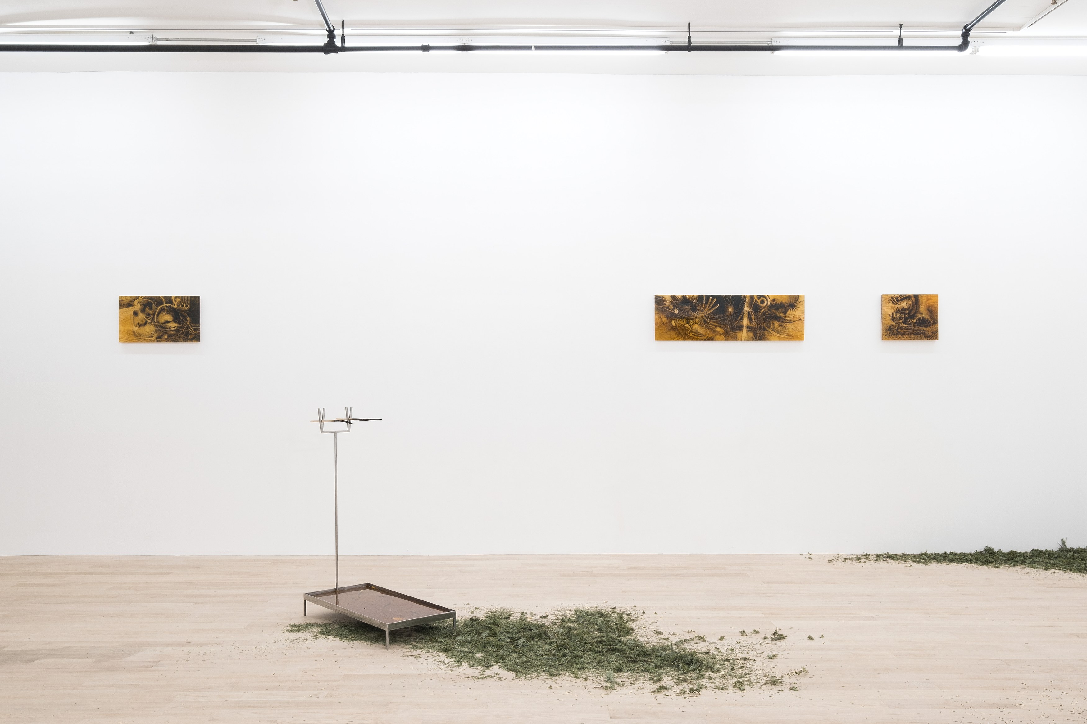 Installation view 4