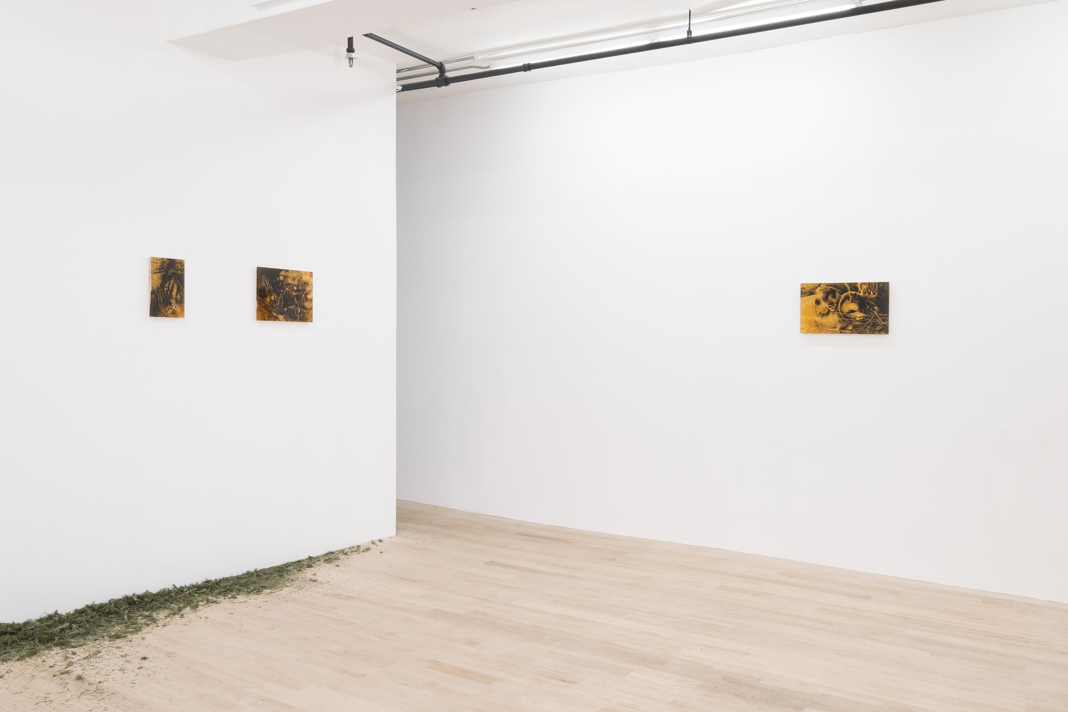Installation view 5