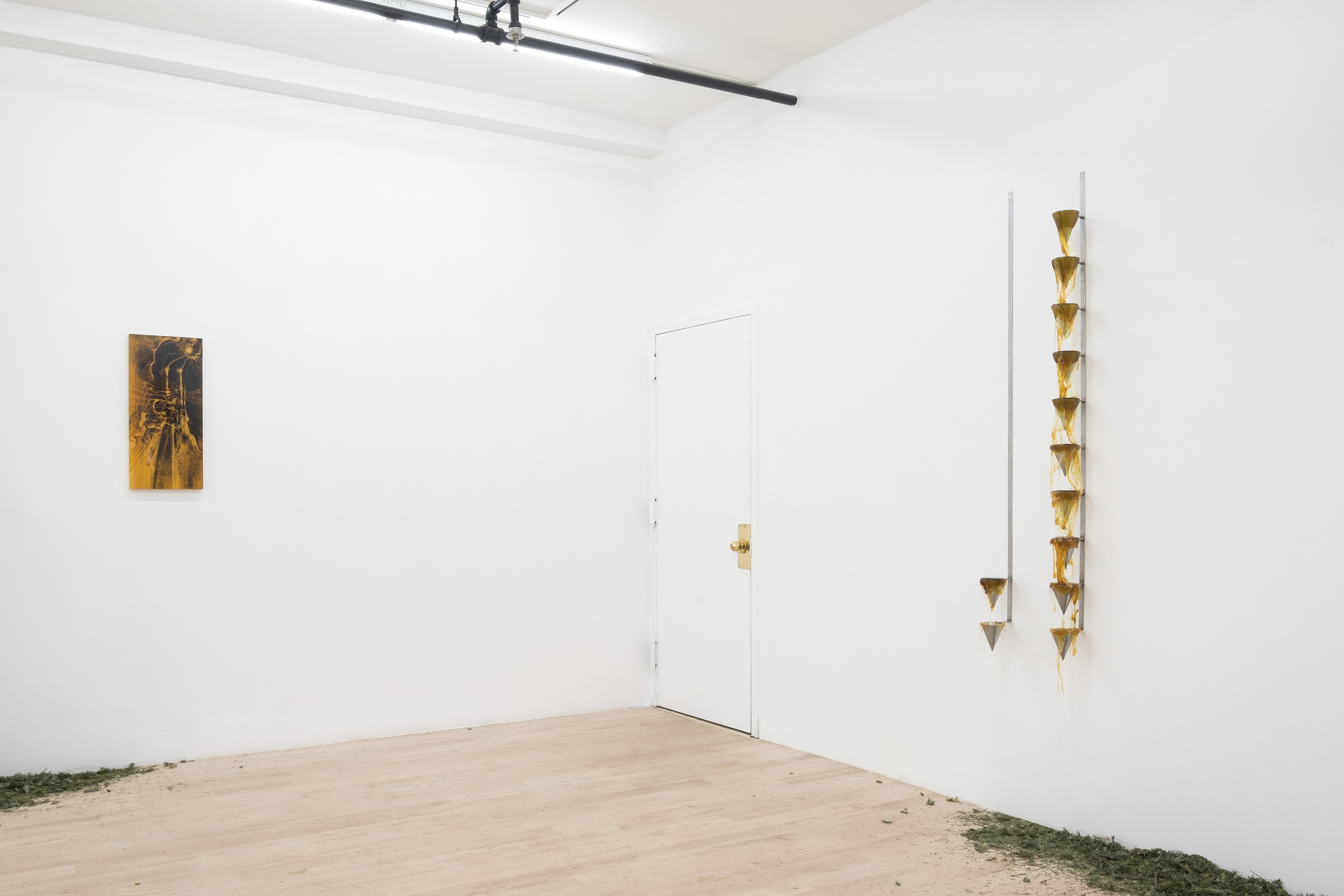 Installation view 7