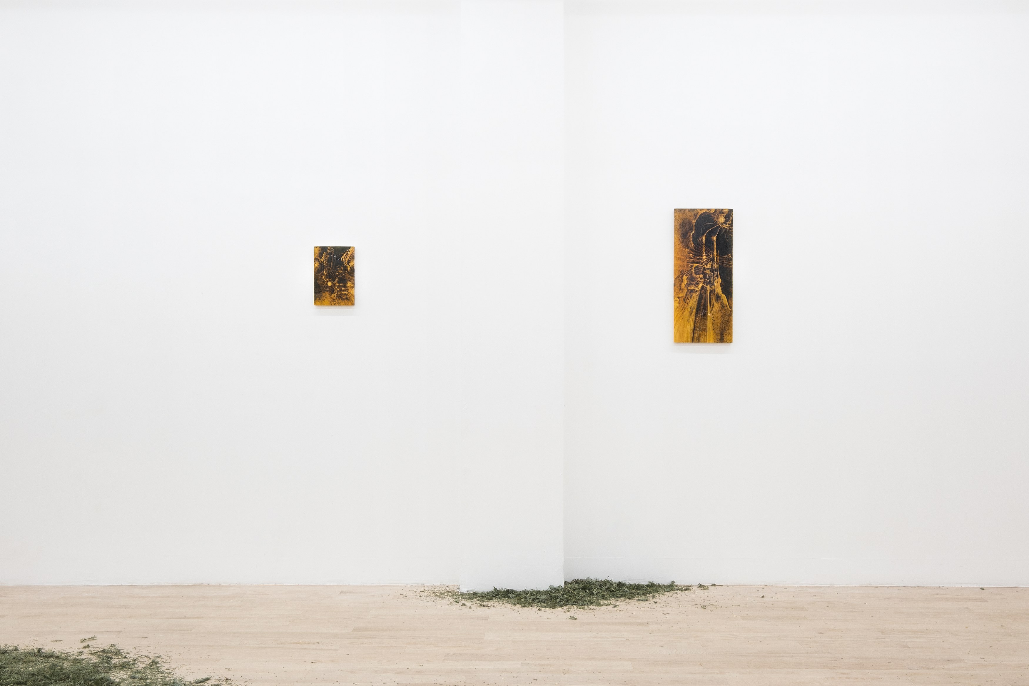 Installation view 6