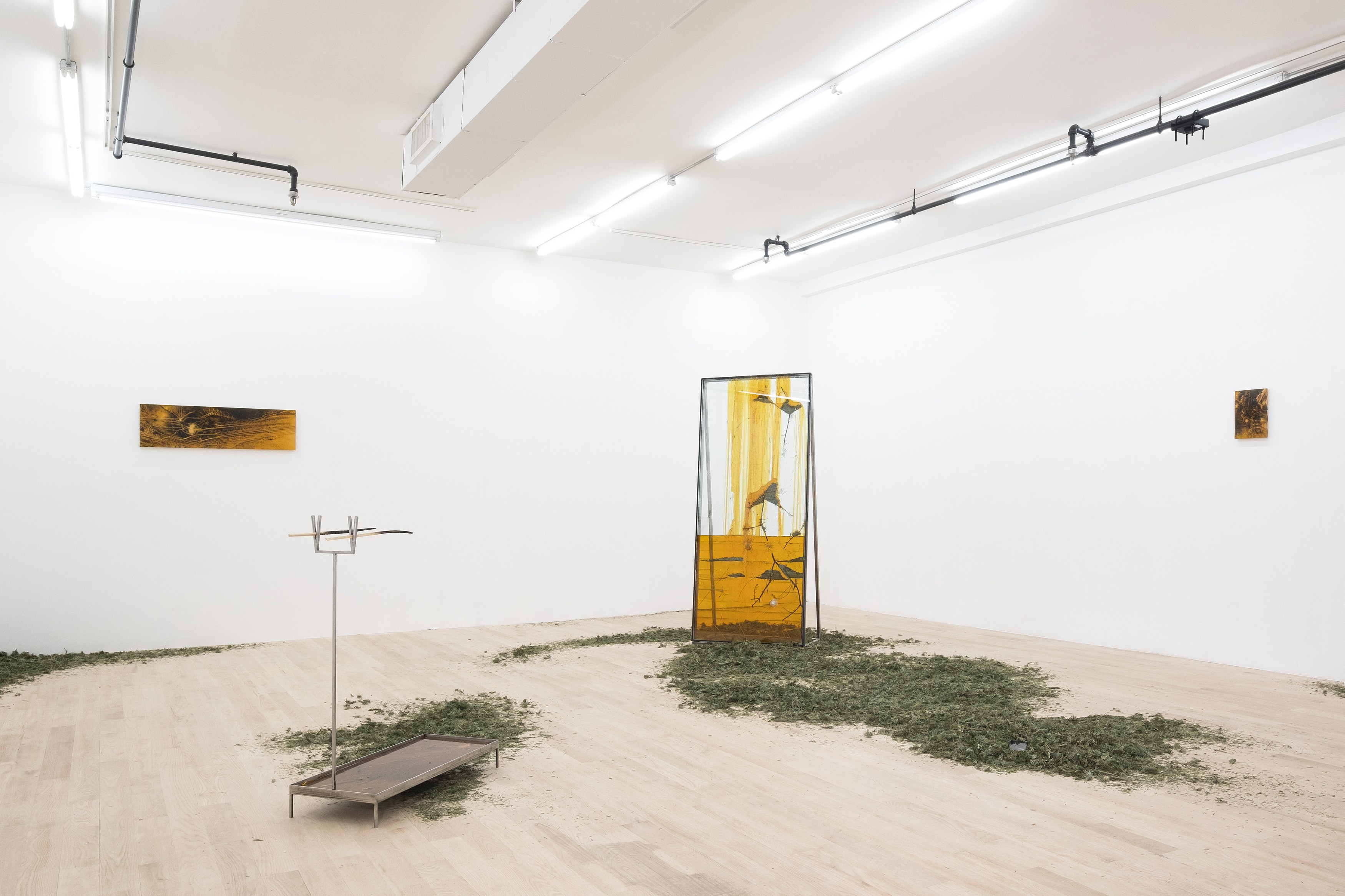 Installation view 10