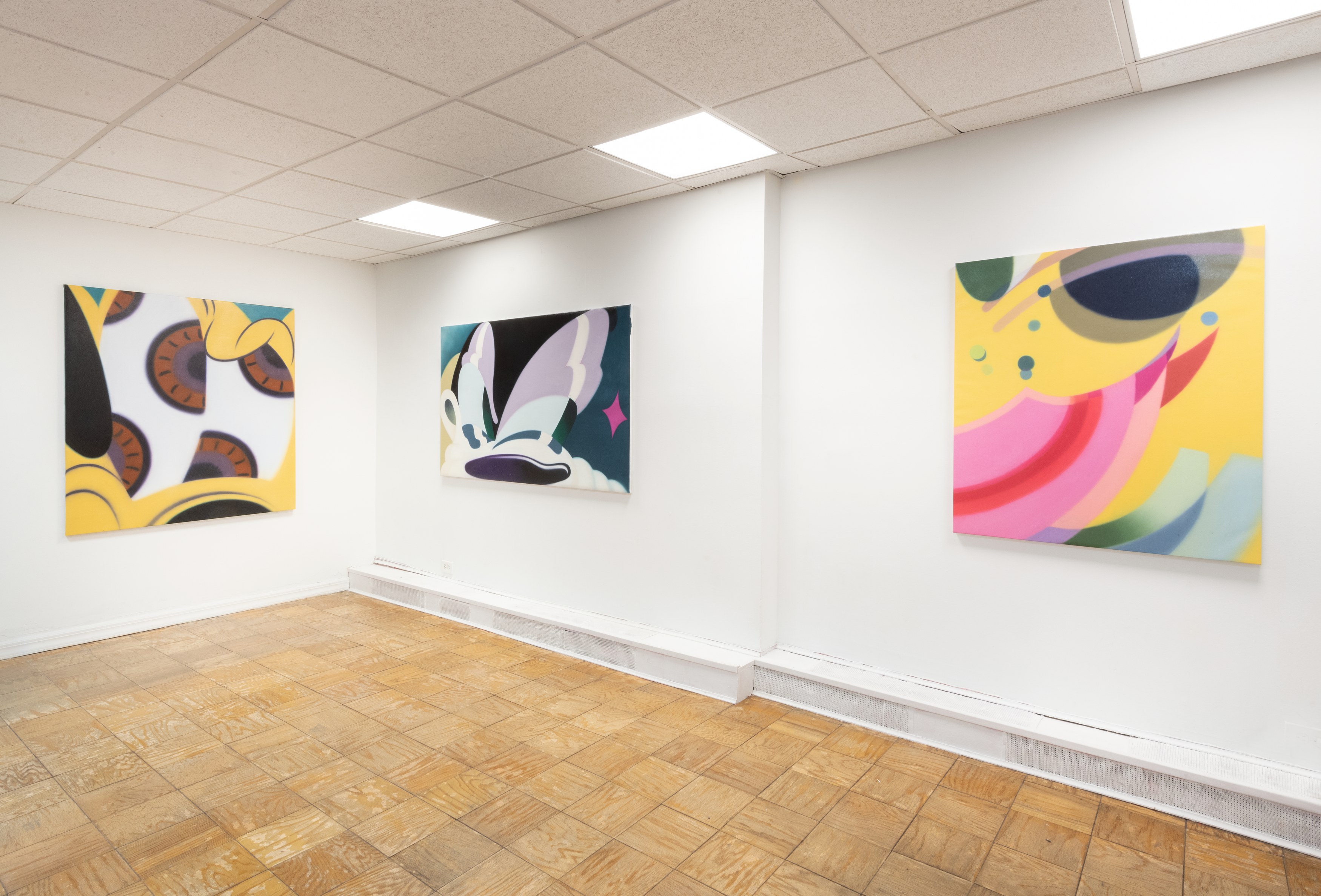 Gowoon Lee, Sugar Rush at Meredith Rosen Gallery, photo 3