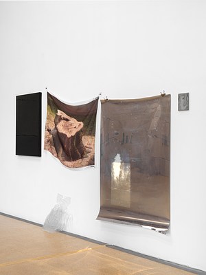 Image 19 of 36