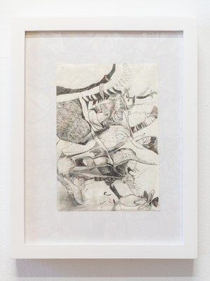 Image 18 of 24