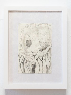 Image 20 of 24